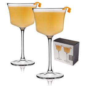 Raye Crystal Sour Glasses Viski® (Set of 2)