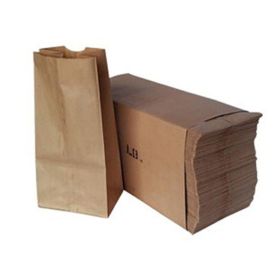 12 LB Heavy Brown Paper Bags (Set of 400)