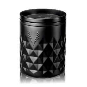 Paragon Obsidian Stainless Steel Rocks Tumbler Viski®